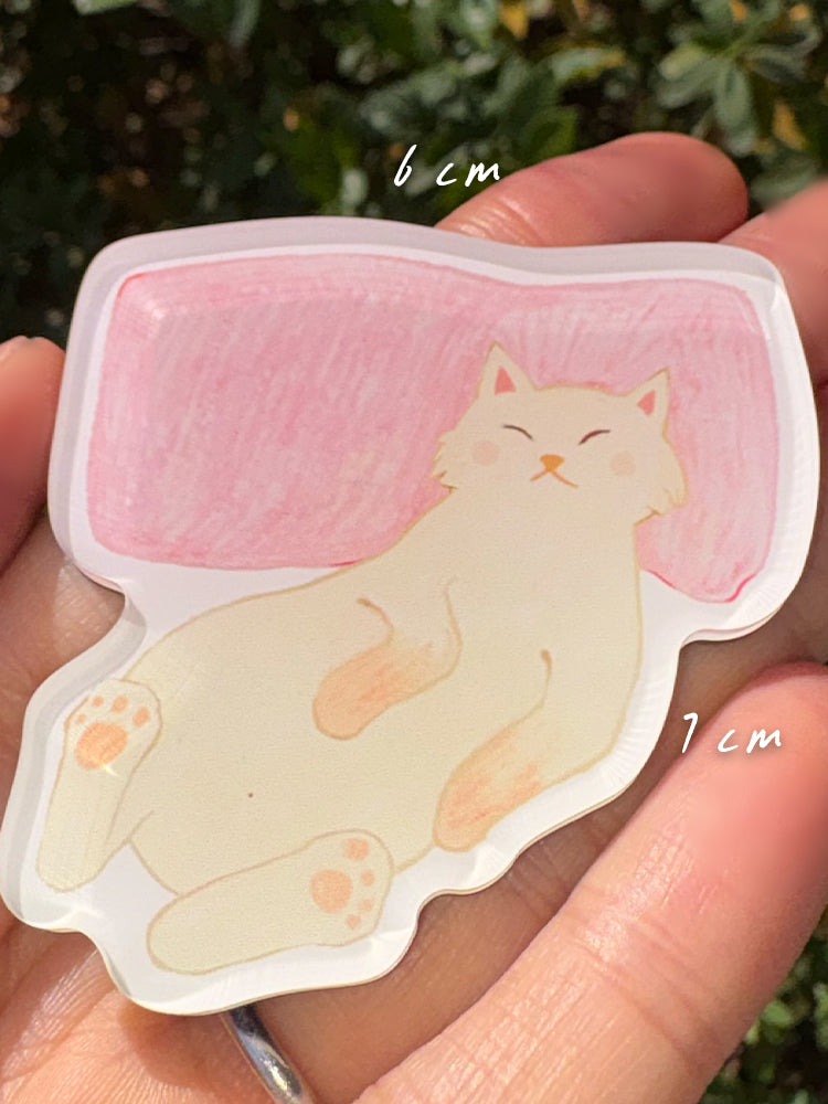 Cat Lovers Magnet Bundle | Set of 5 Illustrated Acrylic Magnets