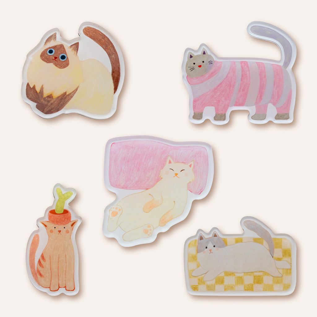 Cat Lovers Magnet Bundle | Set of 5 Illustrated Acrylic Magnets